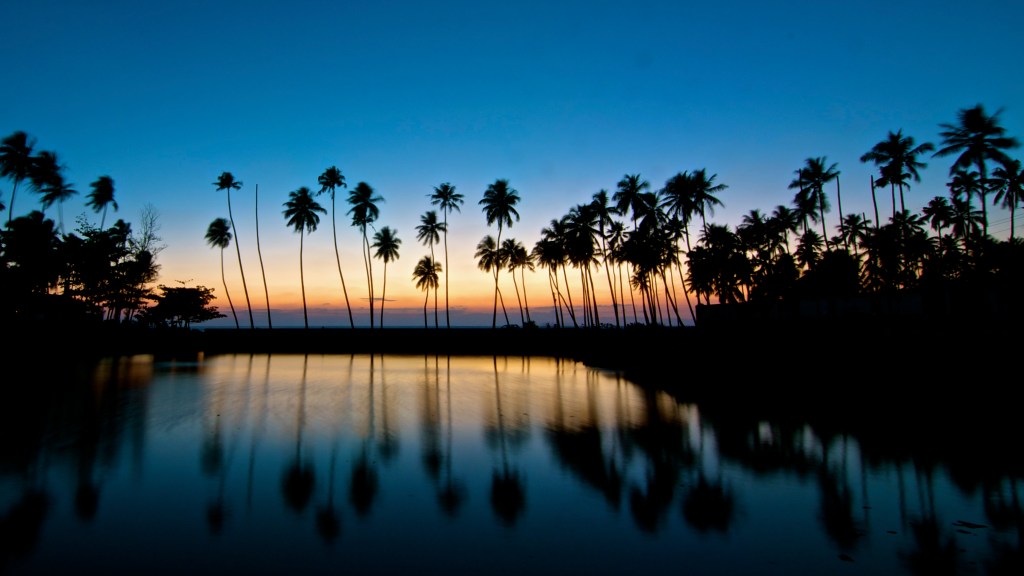 DSC_5234 - Version 2