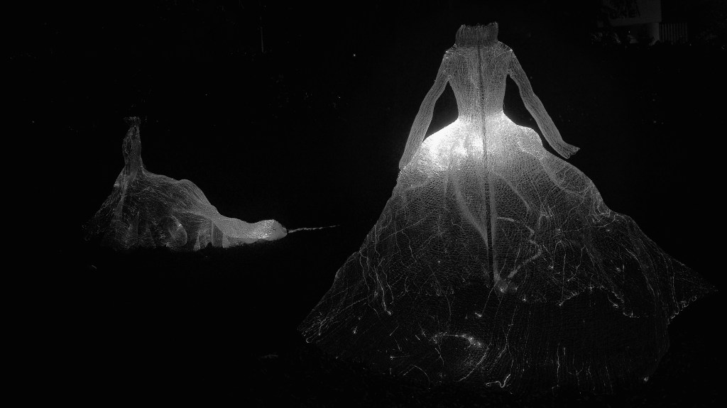 Fibre optic dress