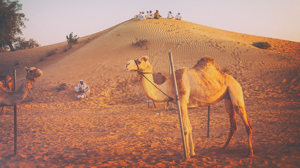 AGS_9896-Edit-3-Edit-Edit-Edit-Edit