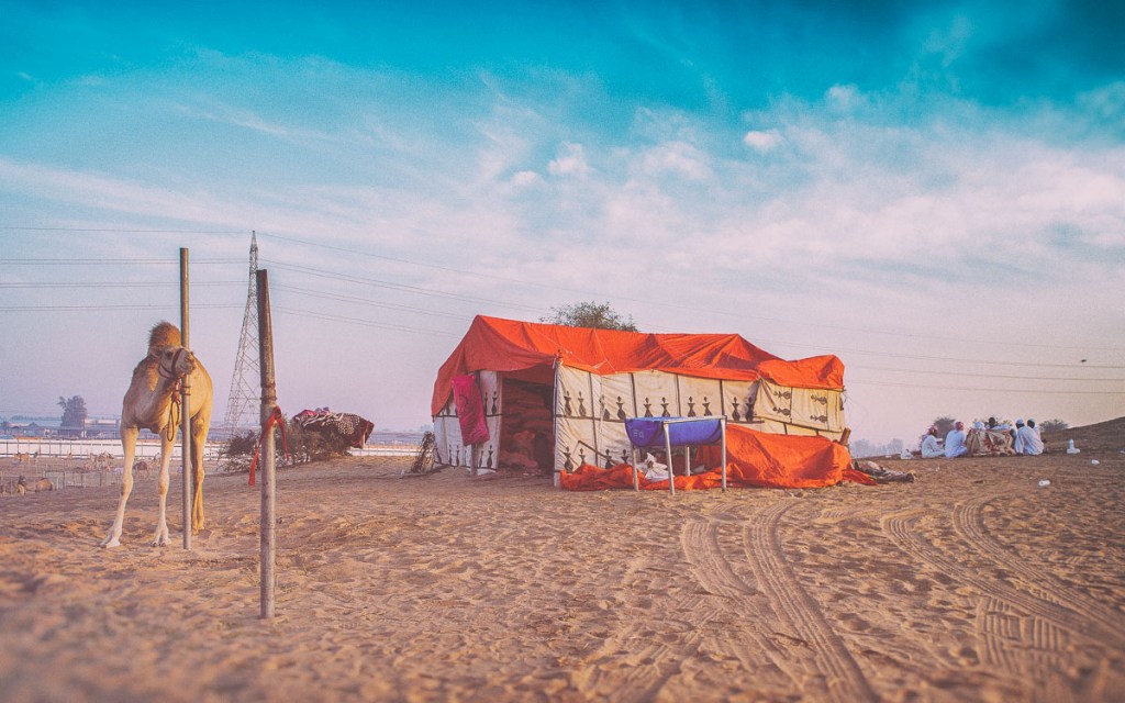 AGS_9930-Edit-Edit-2