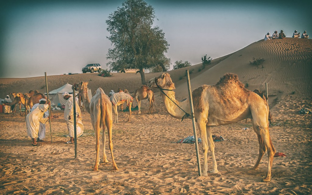 AGS_9898-Edit-Edit-2-Edit-Edit