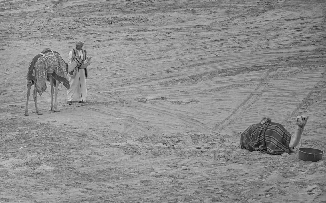 AGS_0026-Edit-Edit-2