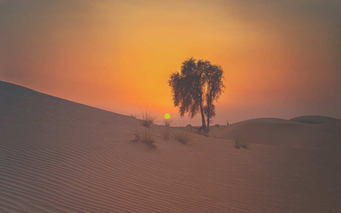 agstd1september-12-2016