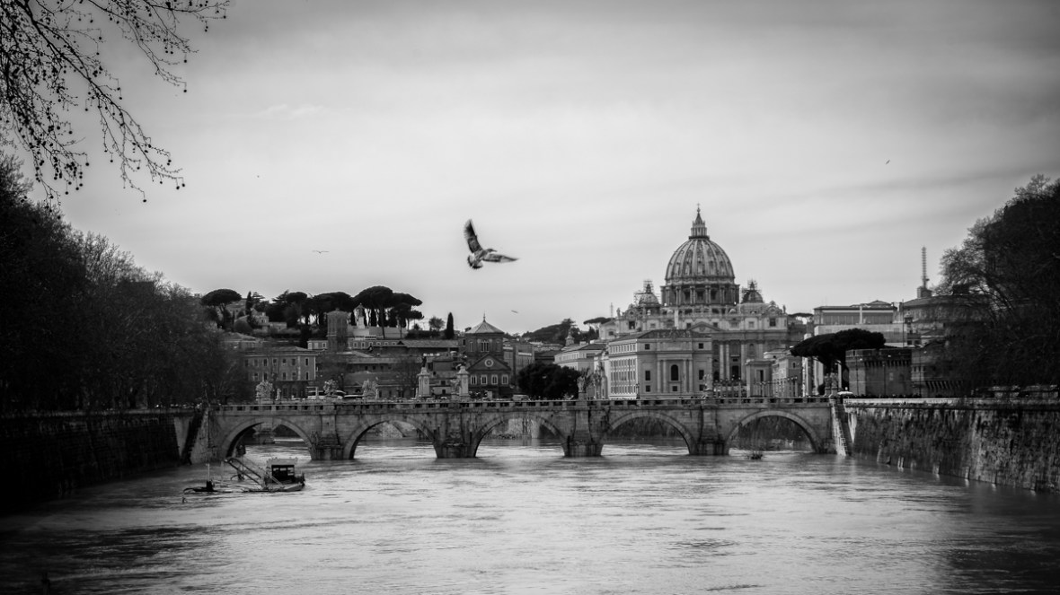 Vatican+bird+BW